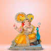 17-MAYUR_GANESH_5.webp